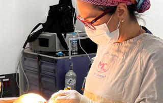 cirujanos plásticos certificados