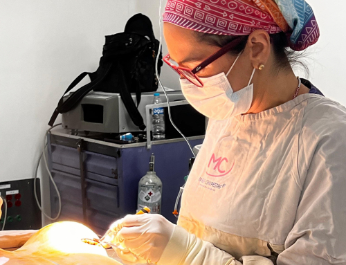 Riesgos de no elegir cirujanos plásticos certificados